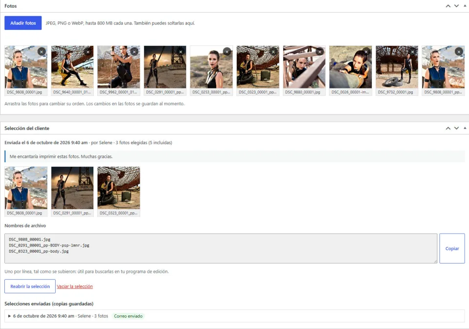 Galería privada en el dashboard de Wordpress